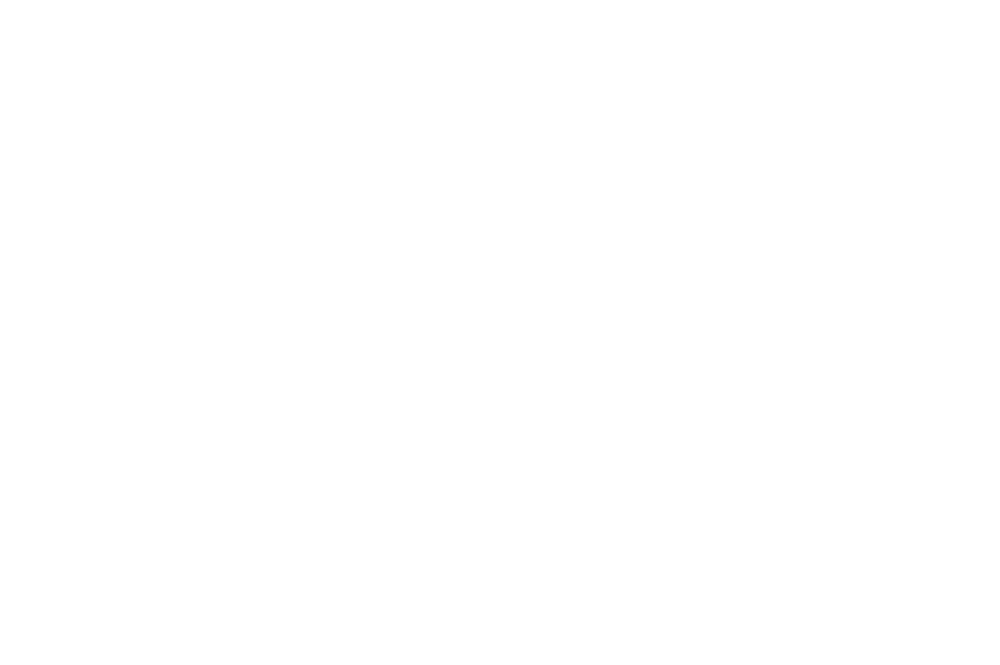 stake_f1